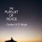 In pursuit of PEACE